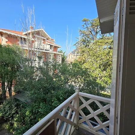 Petit Lotus Apartment