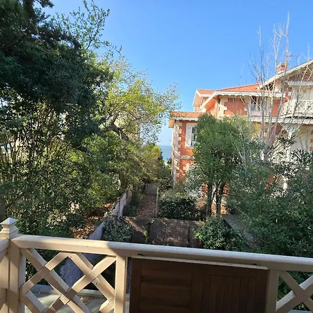 Petit Lotus Arcachon